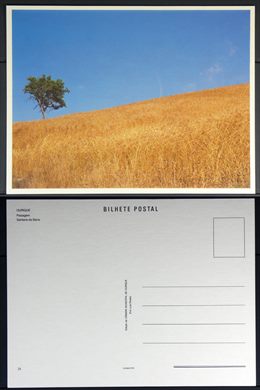Portugal, Ourique, Santana da Serra 25