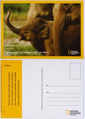 National Geographic Portugal 02