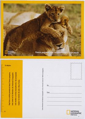 National Geographic Portugal 03