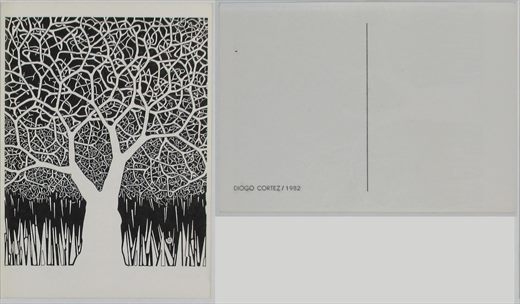 Diogo Cortez 1982