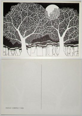 Diogo Cortez 1982