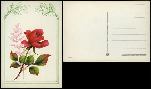 Rosa 278-4 ADGD