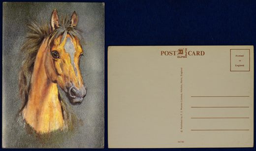 Cavalo 501780