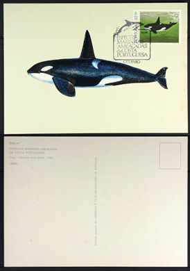 Especies marinhas ameacadas da costa Portuguesa BPC-41 - Correios e Telecomunicacoes de Portugal