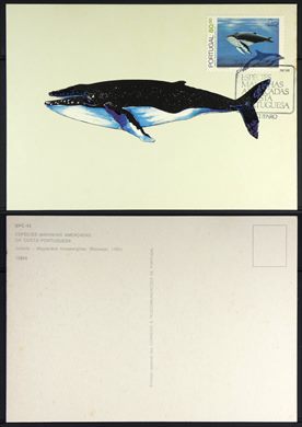 Especies marinhas ameacadas da costa Portuguesa BPC-42 - Correios e Telecomunicacoes de Portugal