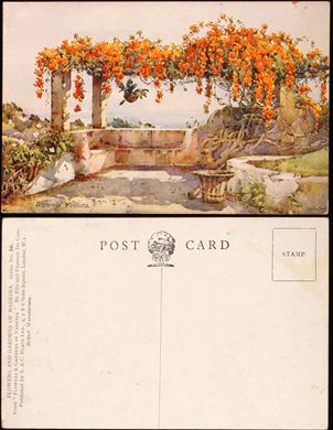 Ella-Florence Du Cane (Flowers-Gardens of Madeira) - 50