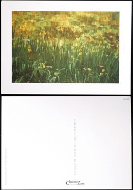 Han Hartzuiker - CZS 009