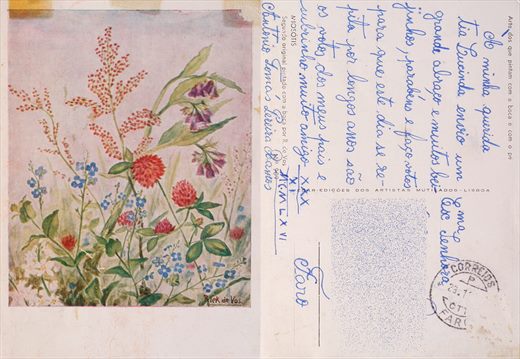 R. de Vos (Miosotis)