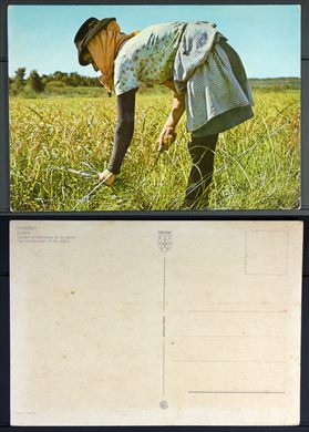 Portugal, Alentejo, Ceifeira 754