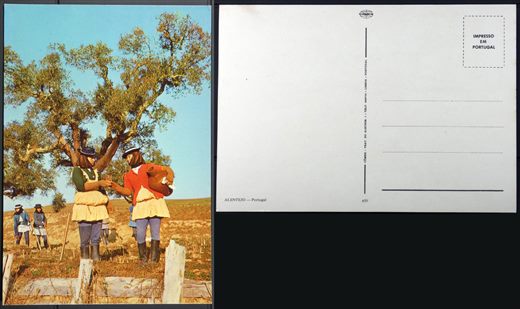 Portugal, Alentejo 650