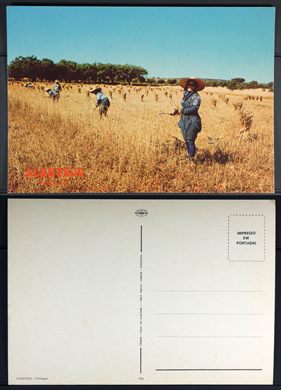 Portugal, Alentejo 788