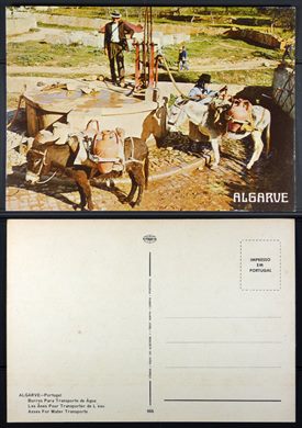 Portugal, Algarve, Burros para transporte de agua 966 - Comer