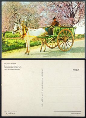 Portugal, Algarve, Carro tipico e amendoeiras em flor 6 - Cesar de Sa