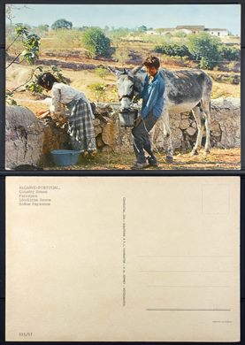 Portugal, Algarve, Paisagem 025-67 - Consultal