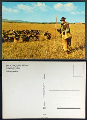 Portugal, Alto Alentejo, Guardador de perus 885