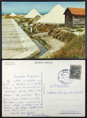 Portugal, Aveiro, Faina das salinas 64-4