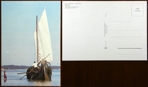 Portugal, Aveiro, Moliceiro 2222 - CC