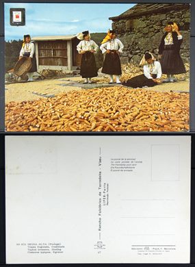 Portugal, Beira Alta, Trajes regionais, Desfolhada 801 - Lifer