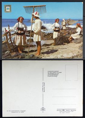 Portugal, Esposende, Sargaceiros de Apulia 766 - Lifer