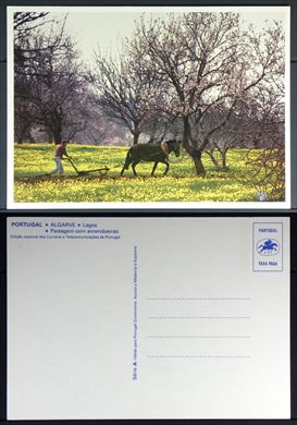 Portugal, Lagos, Paisagem com amendoeiras - CTT