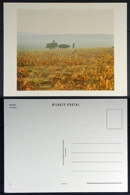 Portugal, Odemira, S. Teotonio 8