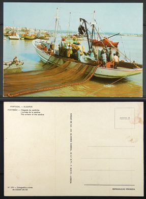 Portugal, Portimao, Chegada da sardinha 276 - Cesar de Sa
