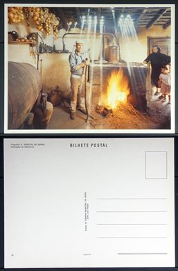 Portugal, S. Marcos da Serra, Destilacao do medronho 26