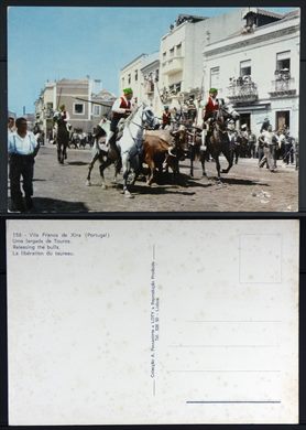 Portugal, Vila Franca de Xira, Uma largada de touros 156 - LOTY