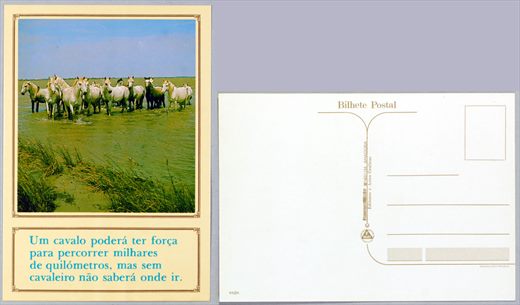 Francisco Mas 4494