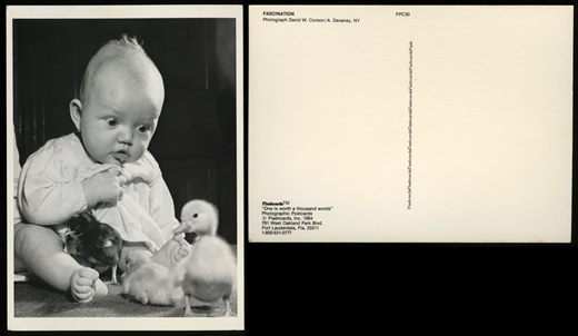 Fascination FPC30 - David W. Corson - Flashcards One is worth a thousand words