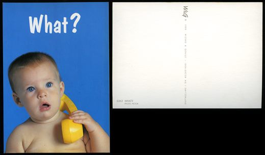 What 5363 - Pictor - Wizard and Genius 1989