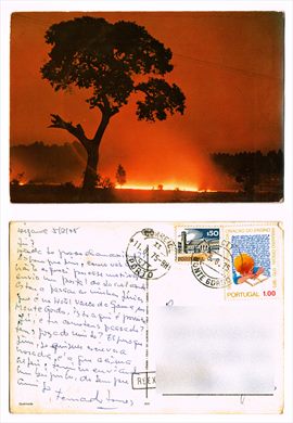 Portugal - Comer 330
