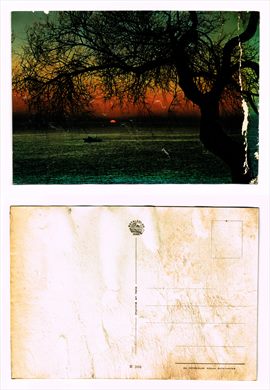 Por do sol - Rotalfoto R-366