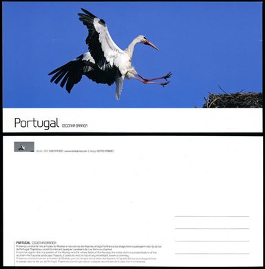 Portugal Cegonha Branca