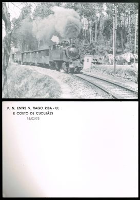 P.N. entre S. Tiago Riba-UL e Couto de Cucujaes