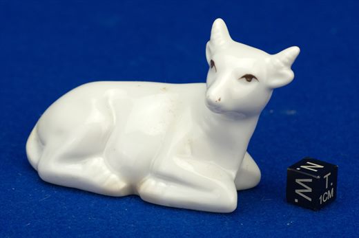vaca