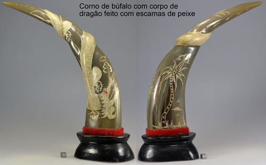Corno de bufalo com corpo de dragao feito com escamas de peixe