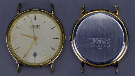 Citizen 8110-R00280 RK