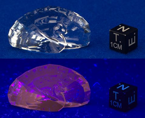 SCS CRYSTAL PEACOCK PAPERWEIGHT MEMBER RENEWAL 2015 5063699 (Swarovski)