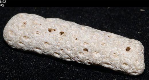 Coral 3gr