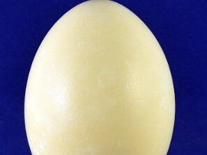 Ovos