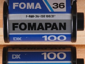 Foma