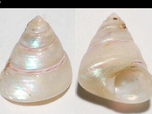 Cones